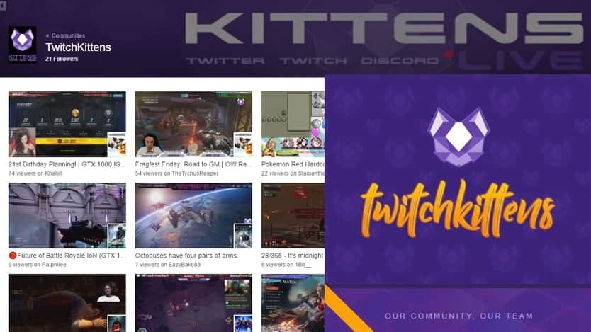 twitch-kittens-streaming-community